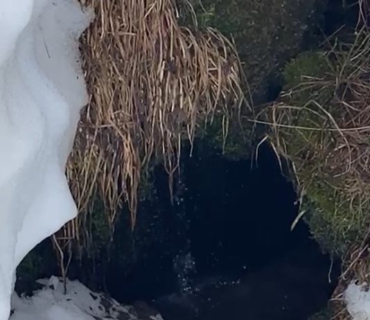 acqua gratis proposta della legge