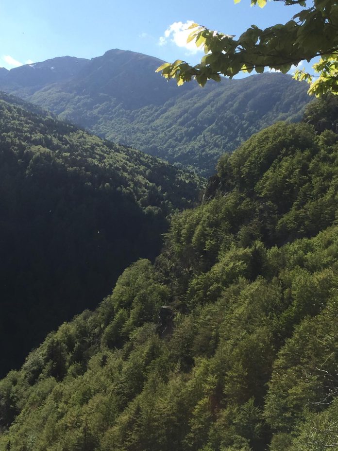 montagna medico medicina generale caos