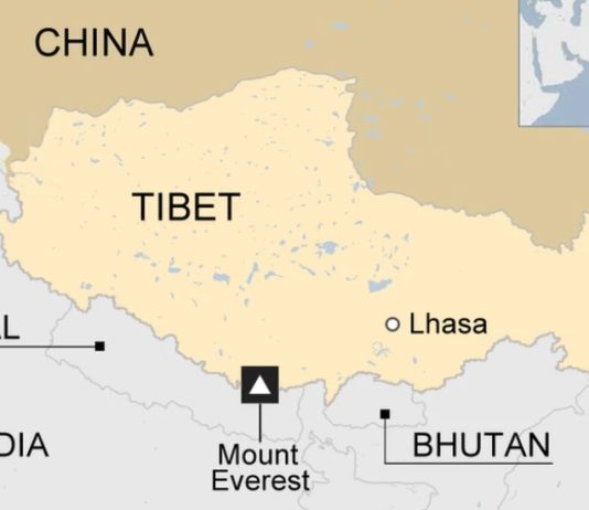 tibet approfondimenti della pecora nera