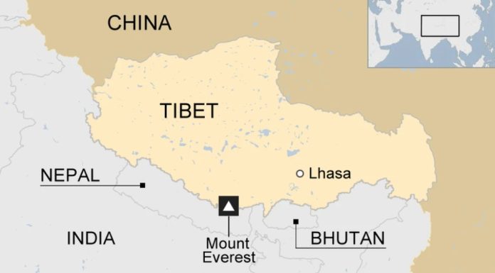 tibet approfondimenti della pecora nera